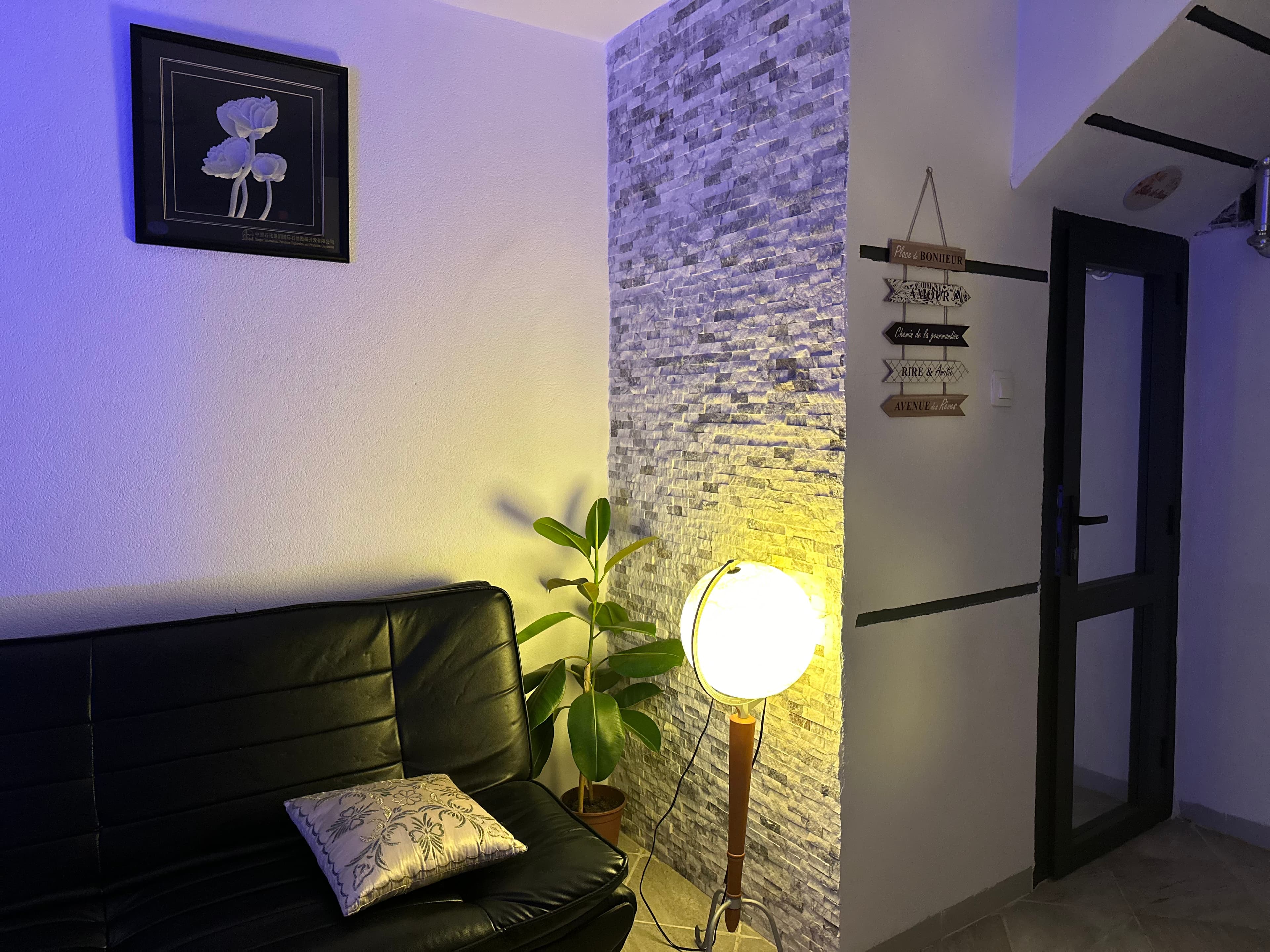 Duplex piscine 29