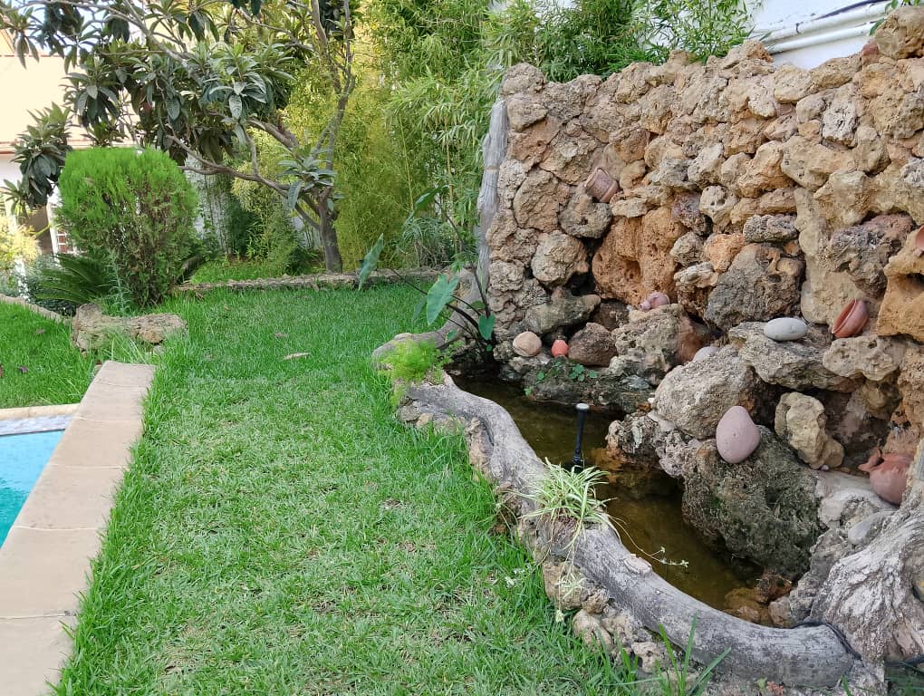 Cocon Paradisiaque