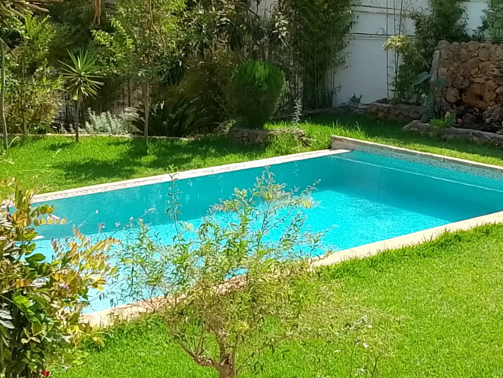 Cocon Paradisiaque 6